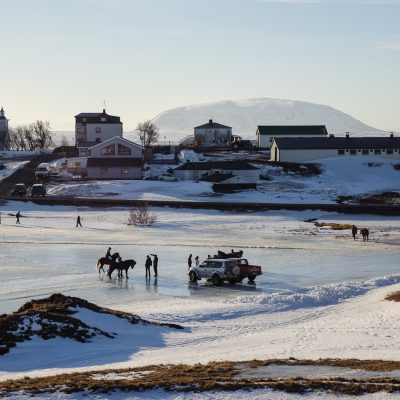 Horse race on Lake Myvatn