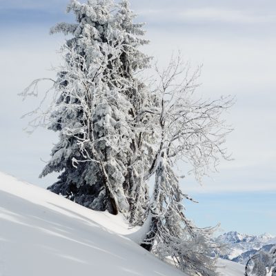 Winterly tour to Wertacher Hörnle, Unterjoch, Allgäu